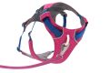 Web JPG-30551_Flagline-Harness_Alpenglow-Pink_Bottom-w--leash_STUDIO.jpg