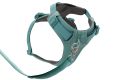 Web JPG-30503_Front-Range-Harness-River-Rock-Green_Bottom-with-leash_STUDIO.jpg
