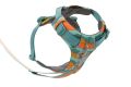 Web JPG-30503_Front-Range-Harness-Spring-Mountains_Bottom-with-Leash_STUDIO.jpg