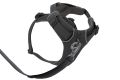Web JPG-30503_Front-Range-Harness-Basalt-Gray_Bottom-with-leash_STUDIO.jpg