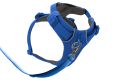 Web JPG-30503_Front-Range-Harness-Blue-Pool_Bottom-with-leash_STUDIO.jpg