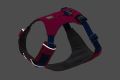 Web JPG-30821_Hi-&-Light-Harness_Alpenglow-Pink-Reflective_STUDIO.jpg