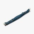 Urban Explorer Collar-Ocean Blue_3.jpg