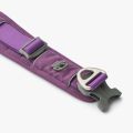 Urban Explorer Collar-Purple Passion_2.jpg