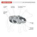 dogdiagrams_dfd.jpg