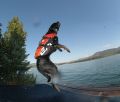 flyhurley_lr_2.jpg