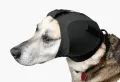 EarPro-ProductIMG1copy2_1_1024x1024.jpg