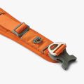 Urban Explorer Collar-Orange Sun_2.jpg
