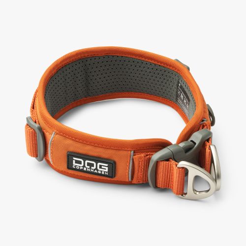 Urban Explorer Collar-Orange Sun_1.jpg