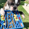 waiting-dogs-design-etray-8miska-dla-psa.jpg