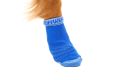 Web JPG-15803_BarknBoot-Sock_Blue-Pool_On-dog_STUDIO.jpg