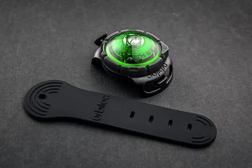 Orbiloc_Dog_Dual_Adjustable-Strap_Green_600x400.jpg.webp