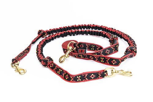 snap-line-with-bungee-for-2-dogs.jpg