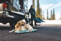 Web JPG-10451_Basecamp-Bed_Sweeping-Sage_Santiam-Pass_.jpg