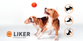 Likerproduct_01.png