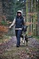 obedience_w_vest2.jpg