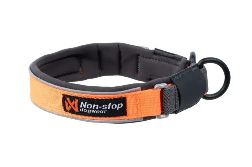 protector_collar.jpg