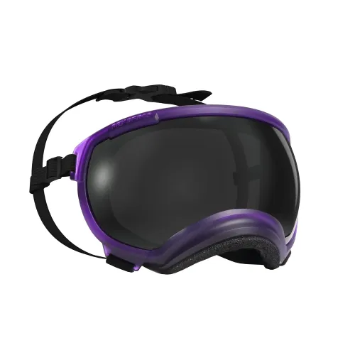 LG-F21-43-02_RiptidePurple_Translucent_a_87d409e4-5527-4c24-9e66-f70a6bc68eef.jpg