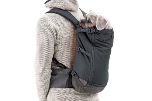 Web_JPG-3565_Hitch-Hiker-Backpack_Basalt-Gray_On-Back_STUDIO.png
