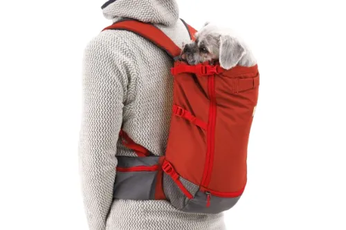 Web_JPG-3565_Hitch-Hiker-Backpack_Red-Clay_On-Back_STUDIO.png