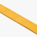 Urban Trail Leash-Lemon_2(1).jpg