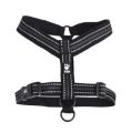 updated_yharness_black_web.jpg