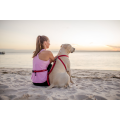 runner_red_girl_dog.png