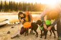 160914_RUFF-6588_Zoom.jpg