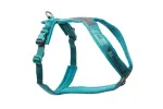 LINE 5.0 codzienne szelki LINE 5.0 ( kolor Teal ) | Non-stop