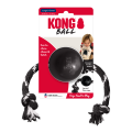 EB12E_ON_PK_1_small(1).png