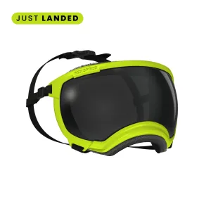 Rex Specs V2 gogle dla psa rozmiar XS ( kolor Electric Lime )