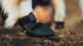 Ridgeline_Shoes_Key_Features_3.webp