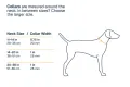 Collar_Size_Chart_f2d61036-99ae-4d0d-8f0b-0219a049f2db.webp