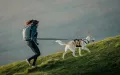 Ridgeline_Leash_Photo_Mosaic_1.jpg