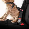 CarRestraint_Context_HR_a3390c2f-8cbe-4e03-8d91-cce4e540d206.webp