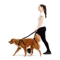 5_ChestPlateHarnes_Walking_bde4277d-345f-457f-a30c-58962aa95a7e.webp