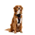 1_ChestplateHarnes_Front_33ac7892-f6a5-45db-b44c-d95da7afdfef.webp