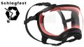 hundebrille_Schlagfest.jpg