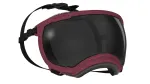 Rex Specs V2 gogle dla psa rozmiar L ( Burgundy / bordowy )