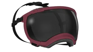 Rex Specs V2 gogle dla psa rozmiar L ( Burgundy / bordowy )