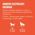 CK1E_EDU_1_PL.webp