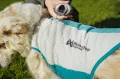 Cooling_pull-on_light_gray_2072-2082_01_lifestyle__281_29.jpg