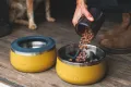 2082_BasecampSlowFeeder_FullWidthImage.jpg