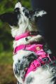 Web JPG-30503_Front-Range-Chest-Harness_Pink-Mountains_Lifestyle_RW-2.jpg