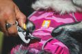 Web JPG-30503_Front-Range-Chest-Harness_Pink-Mountains_Lifestyle_RW-7.jpg