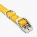 urba9n-classic-collar.jpg