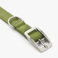 urb88an-classic-collar.jpg