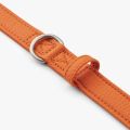 Urban Classic Leash-Orange Sun_4.jpg