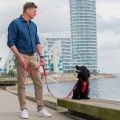 Lifestyle-Urban Classic Leash_8.jpg