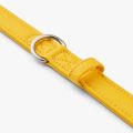 Urban Classic Leash-Lemon_4.jpg